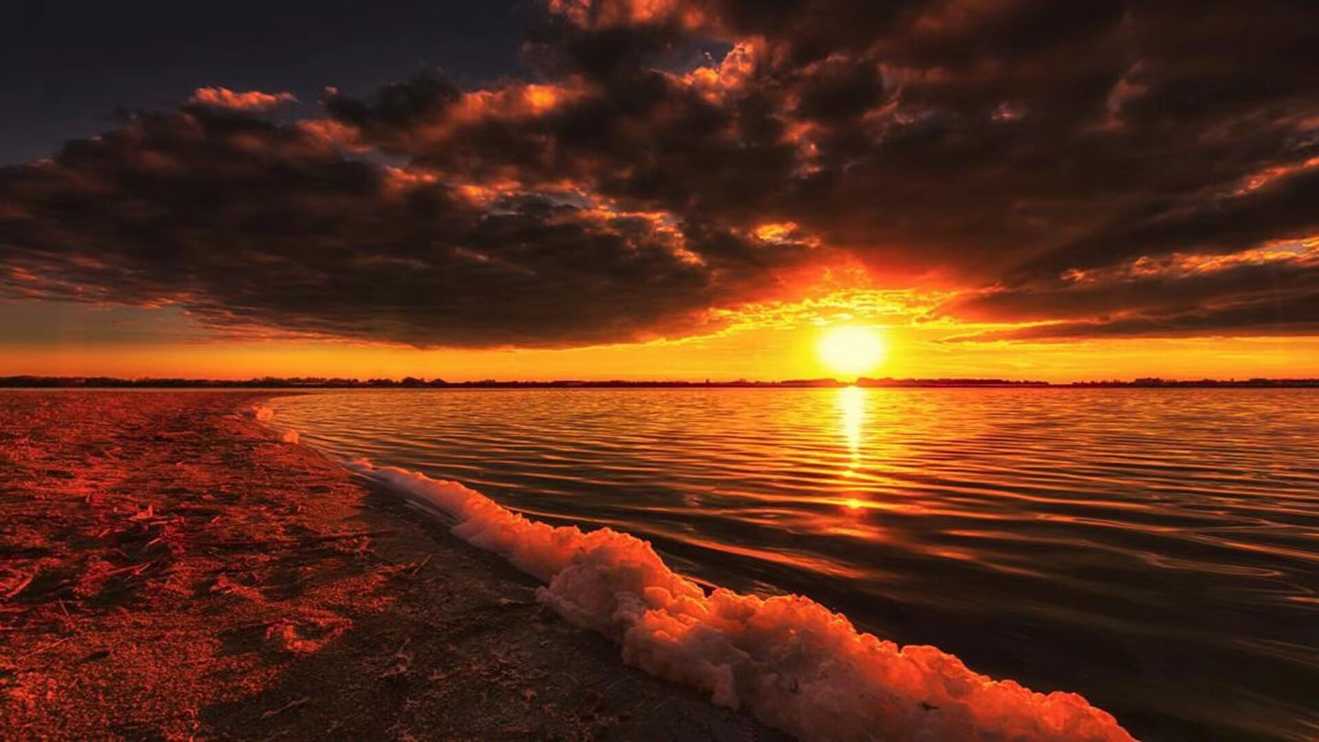 Mrfly助手通知V3.4.1